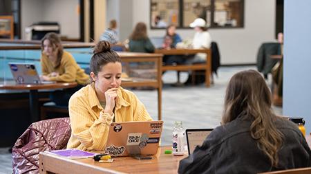 Students studying in the library